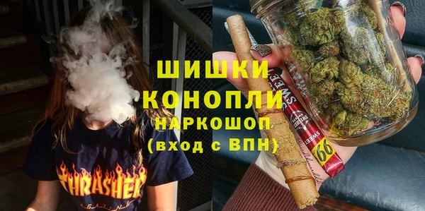 молекула духа Зеленокумск