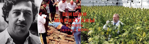 марки lsd Зерноград