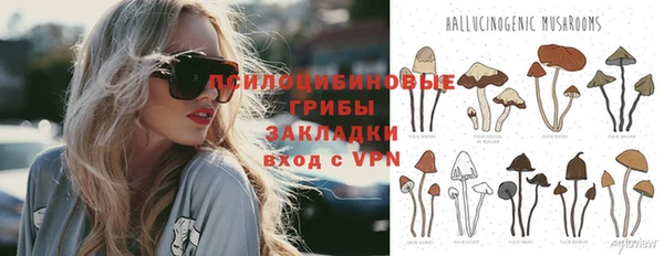 молекула духа Зеленокумск