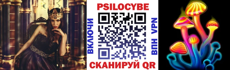 Купить где  Коряжма  Псилоцибиновые грибы Psilocybe 