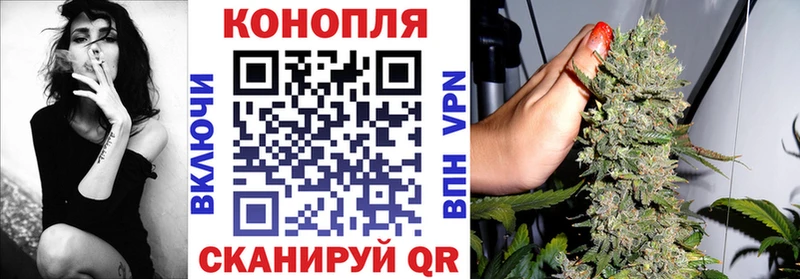 Купить где Коряжма Канабис сатива